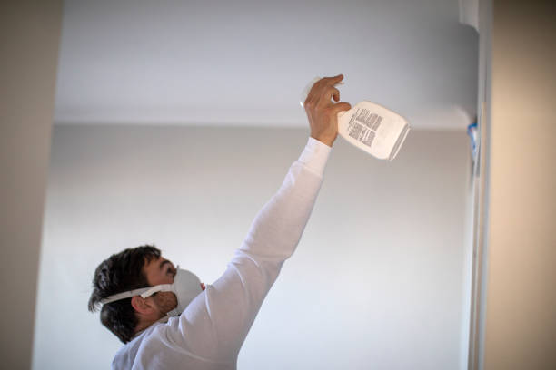 Best Commercial Mold Remediation in Martin, TN